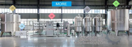 L'eau purifiée de traitement de l'eau pharmaceutique faisant à la machine une conception différente du prix de l'usine RO commerciale répond à différents besoins